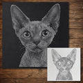 Devon Rex Cat reusable Mylar stencil