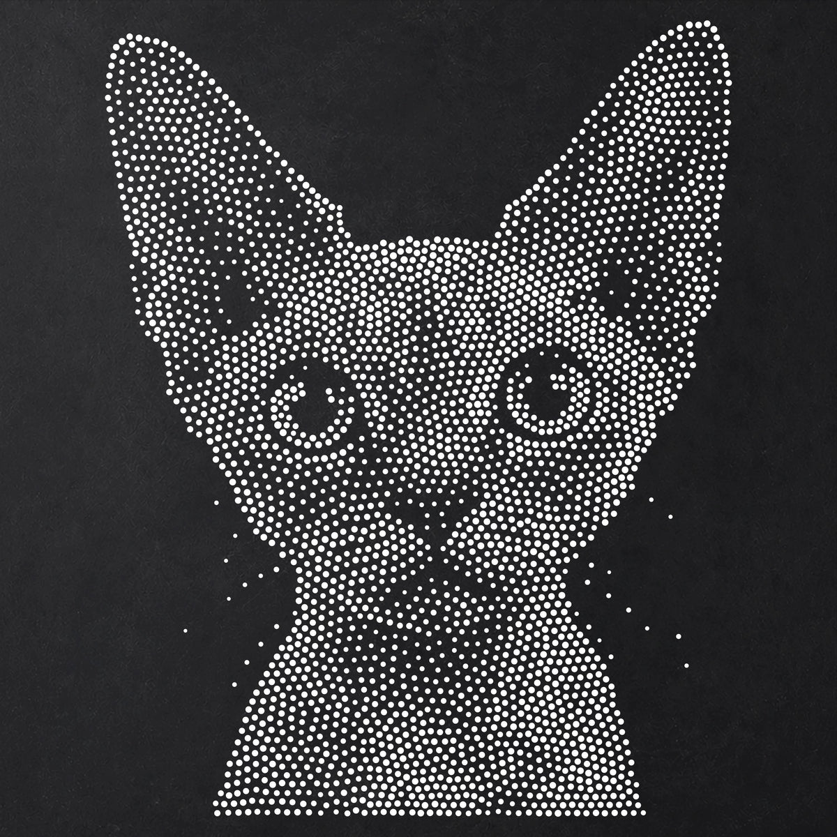 Devon Rex Cat reusable Mylar stencil