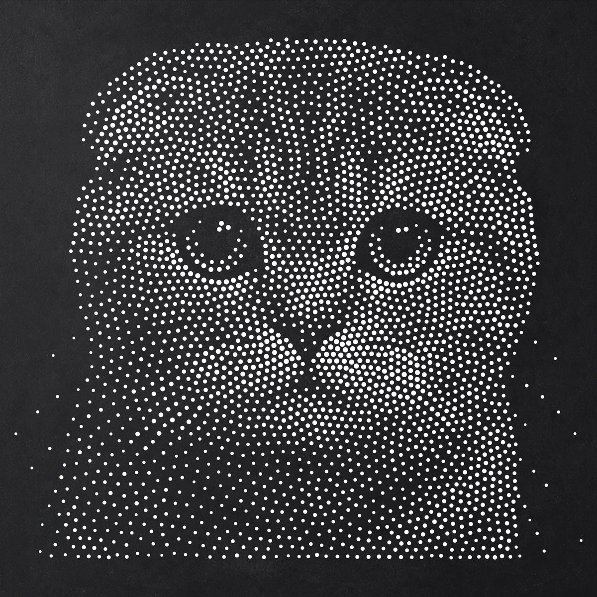 Scottish Fold Cat reusable Mylar stencil