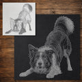 Border Collie Dog Playing reusable Mylar stencil
