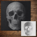 Human Skull #2 reusable Mylar stencil