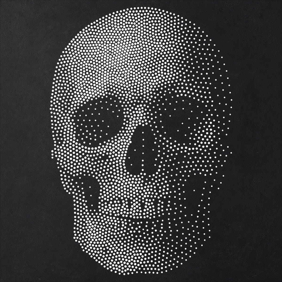 Human Skull #2 reusable Mylar stencil