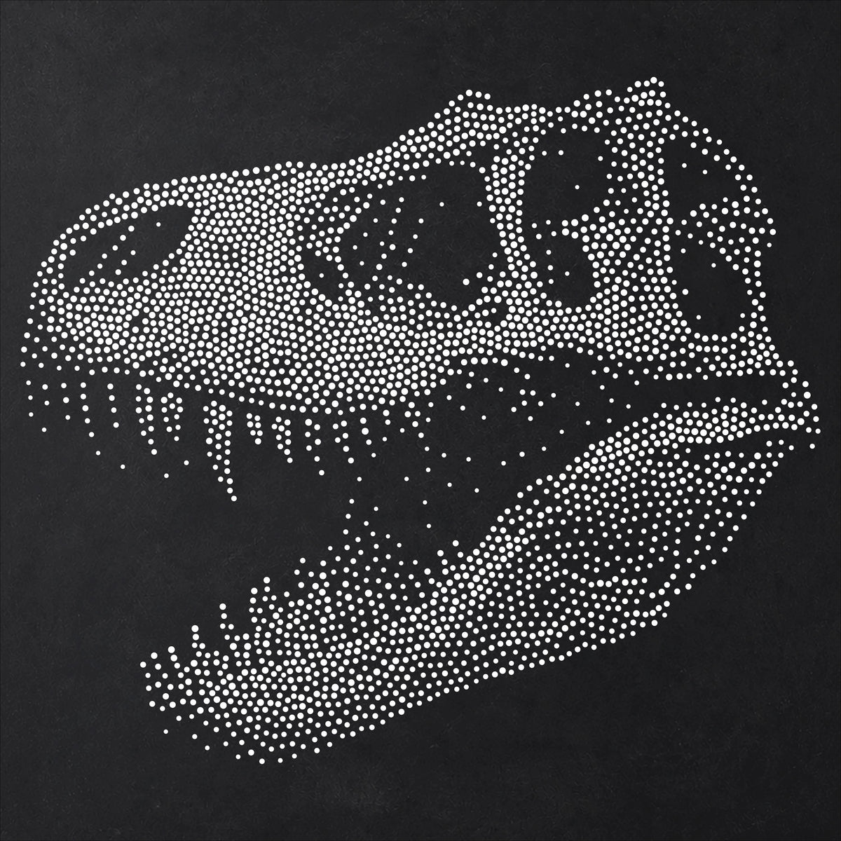 T Rex Dinosaur Skull reusable Mylar stencil