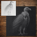 Vulture Bird reusable Mylar stencil