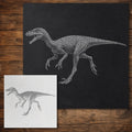 Compsognathus Dinosaur reusable Mylar stencil