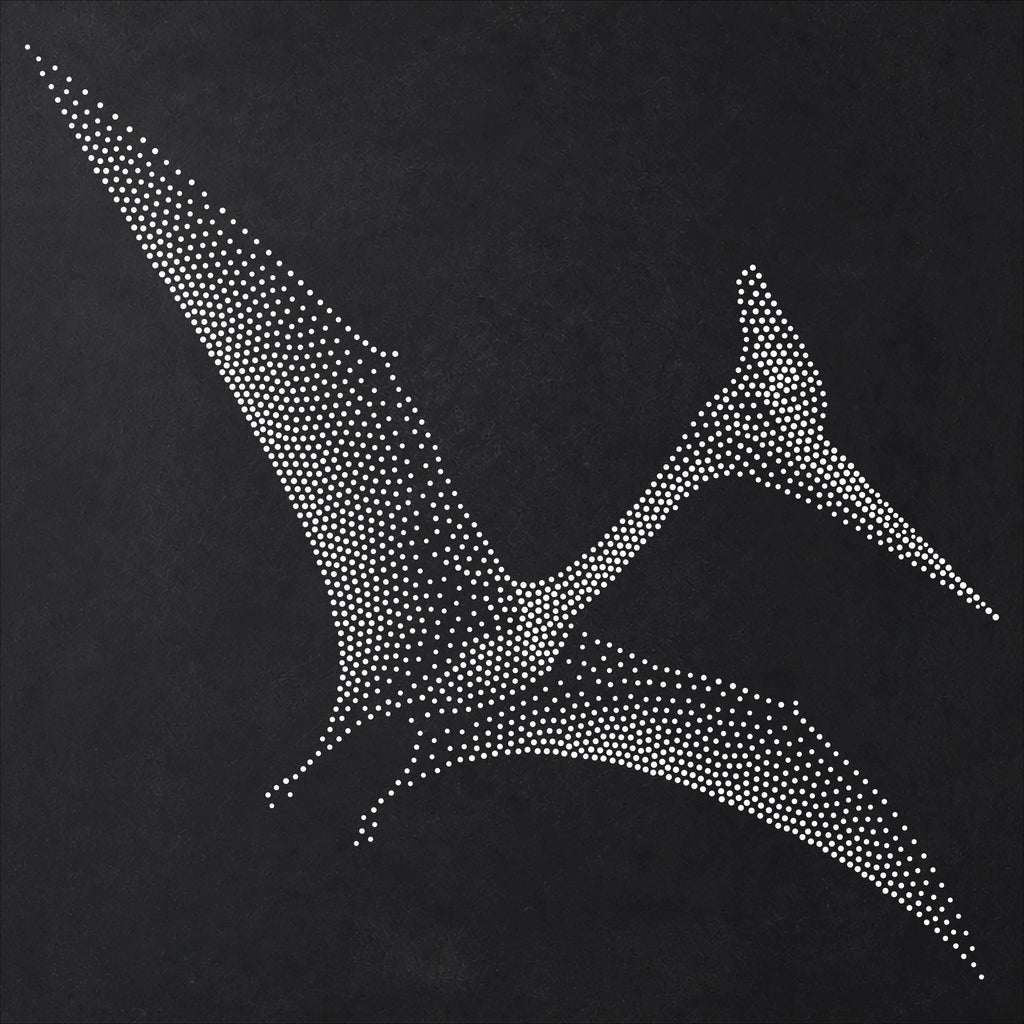 Quetzalcoatlu Pterosaur reusable Mylar stencil