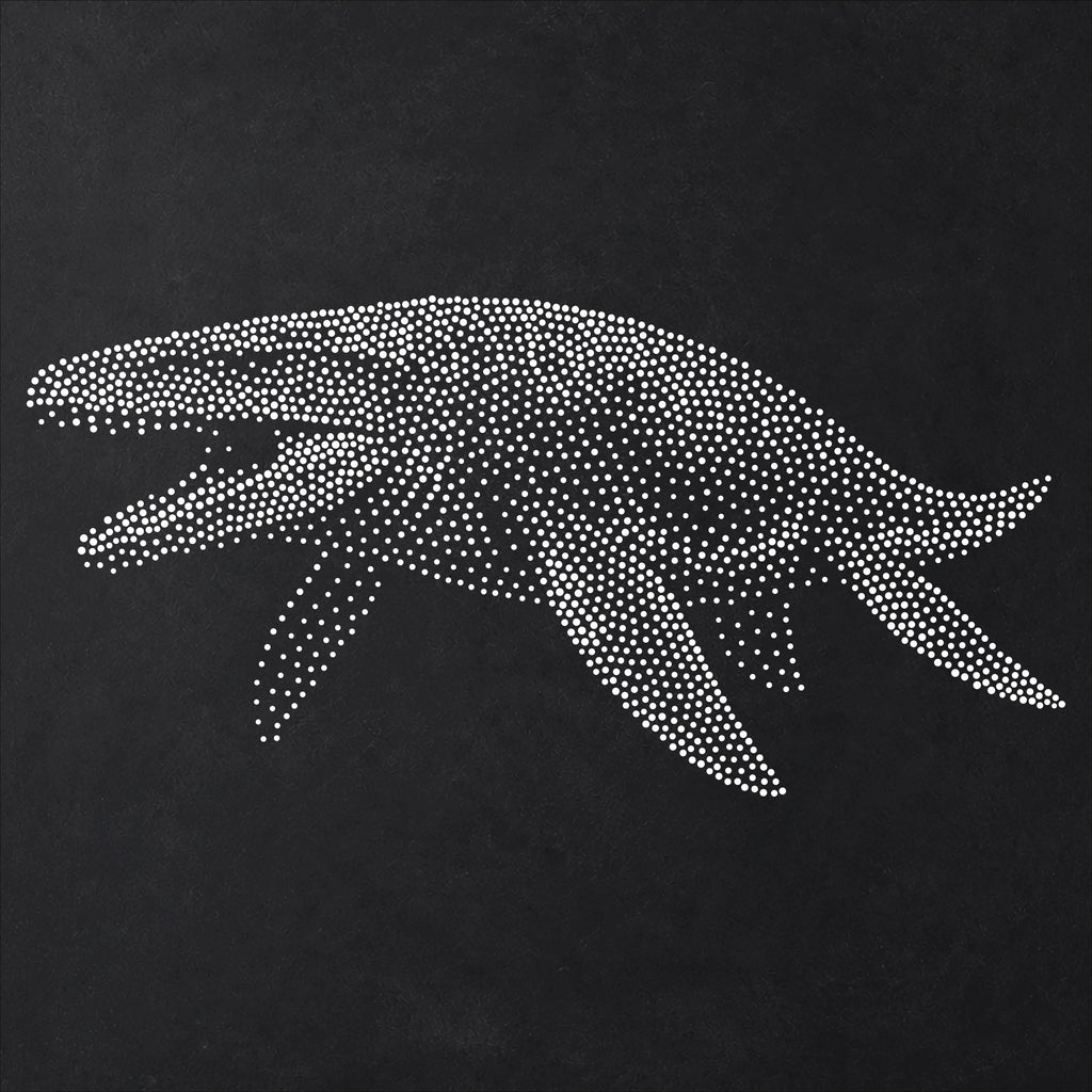 Liopleurodon Pliosaur reusable Mylar stencil