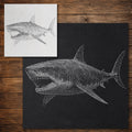 Megalodon reusable Mylar stencil