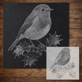 Christmas Robin with Holly reusable Mylar stencil