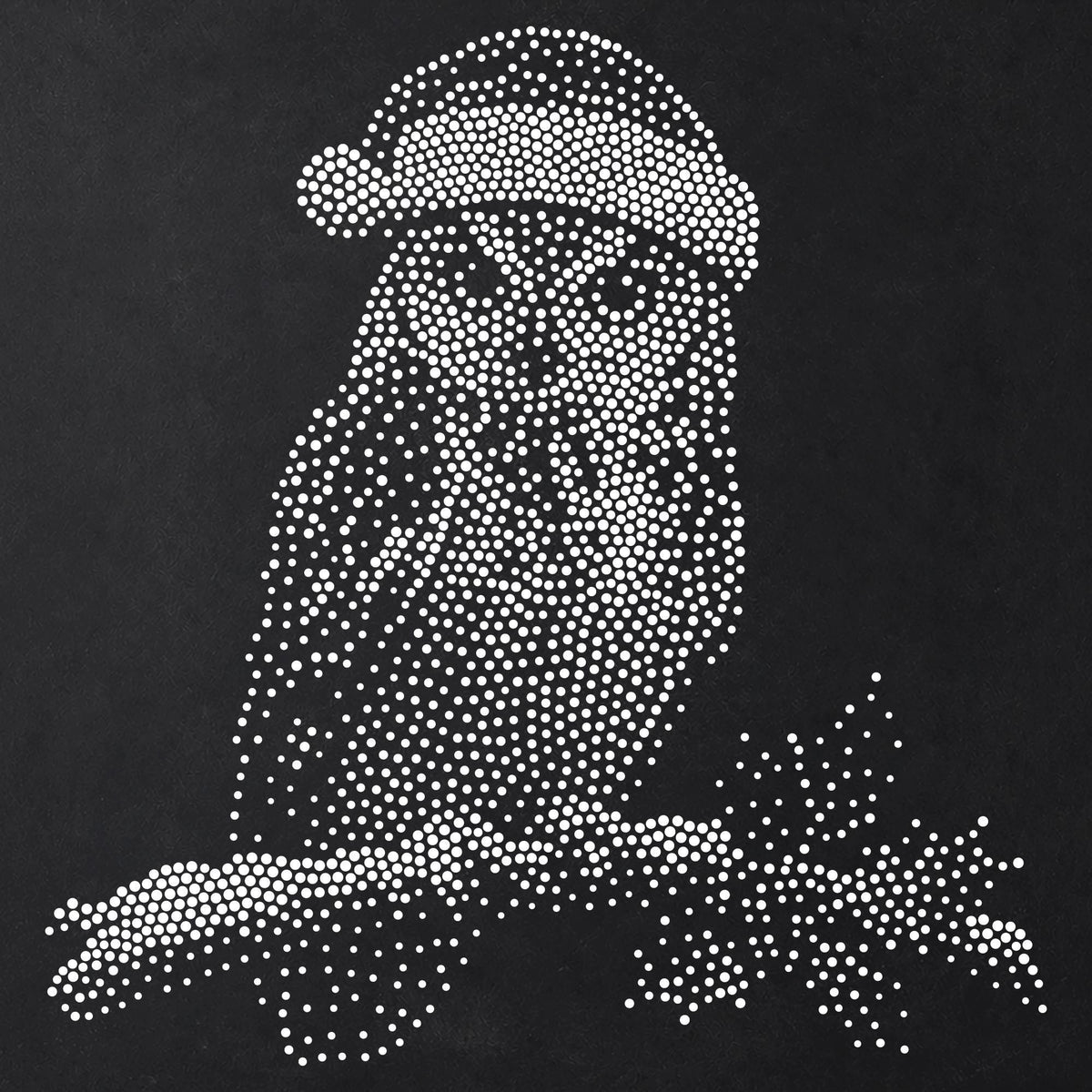 Christmas Owl reusable Mylar stencil