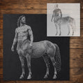 Centaur reusable Mylar stencil