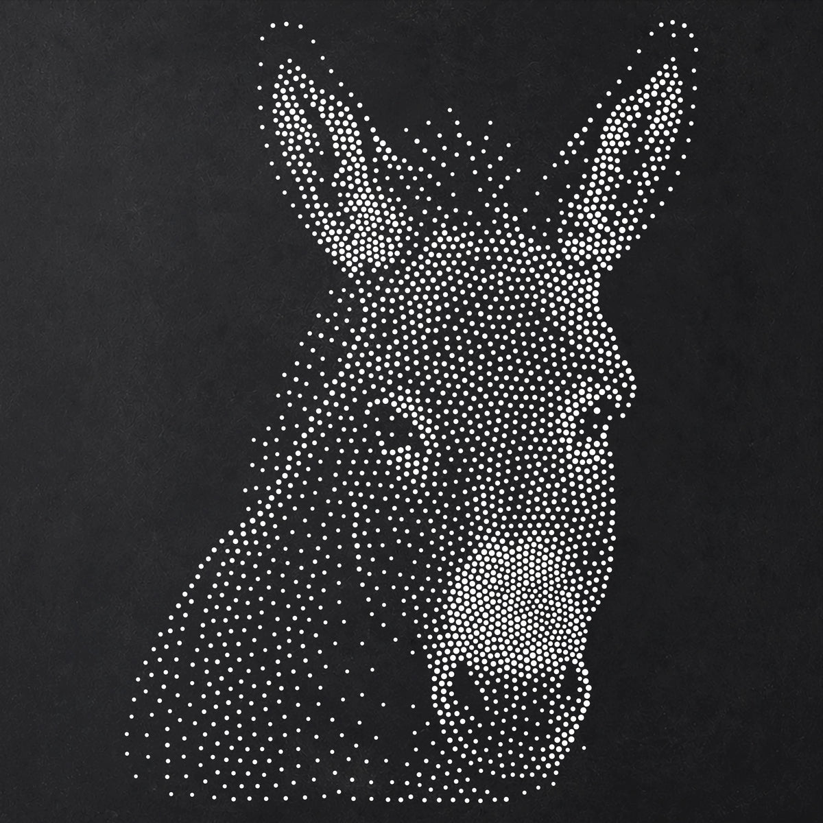 Donkey Face reusable Mylar stencil