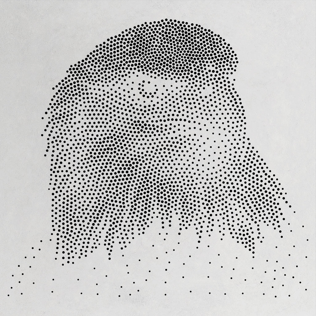 Bald Eagle Portrait reusable Mylar stencil