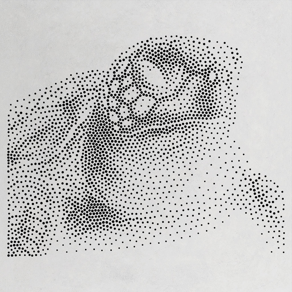 Sea Turtle Portrait reusable Mylar stencil