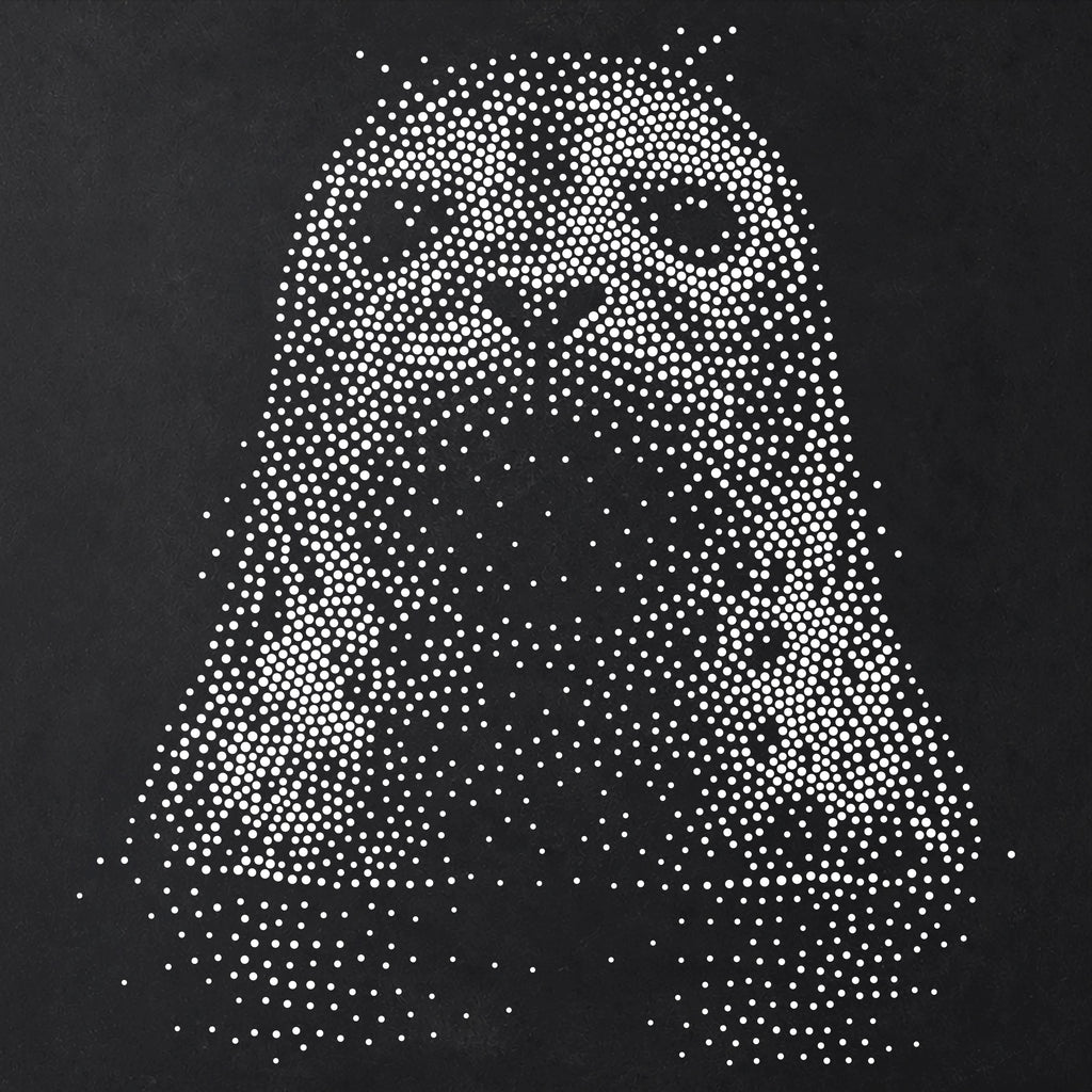 Seal Portrait reusable Mylar stencil