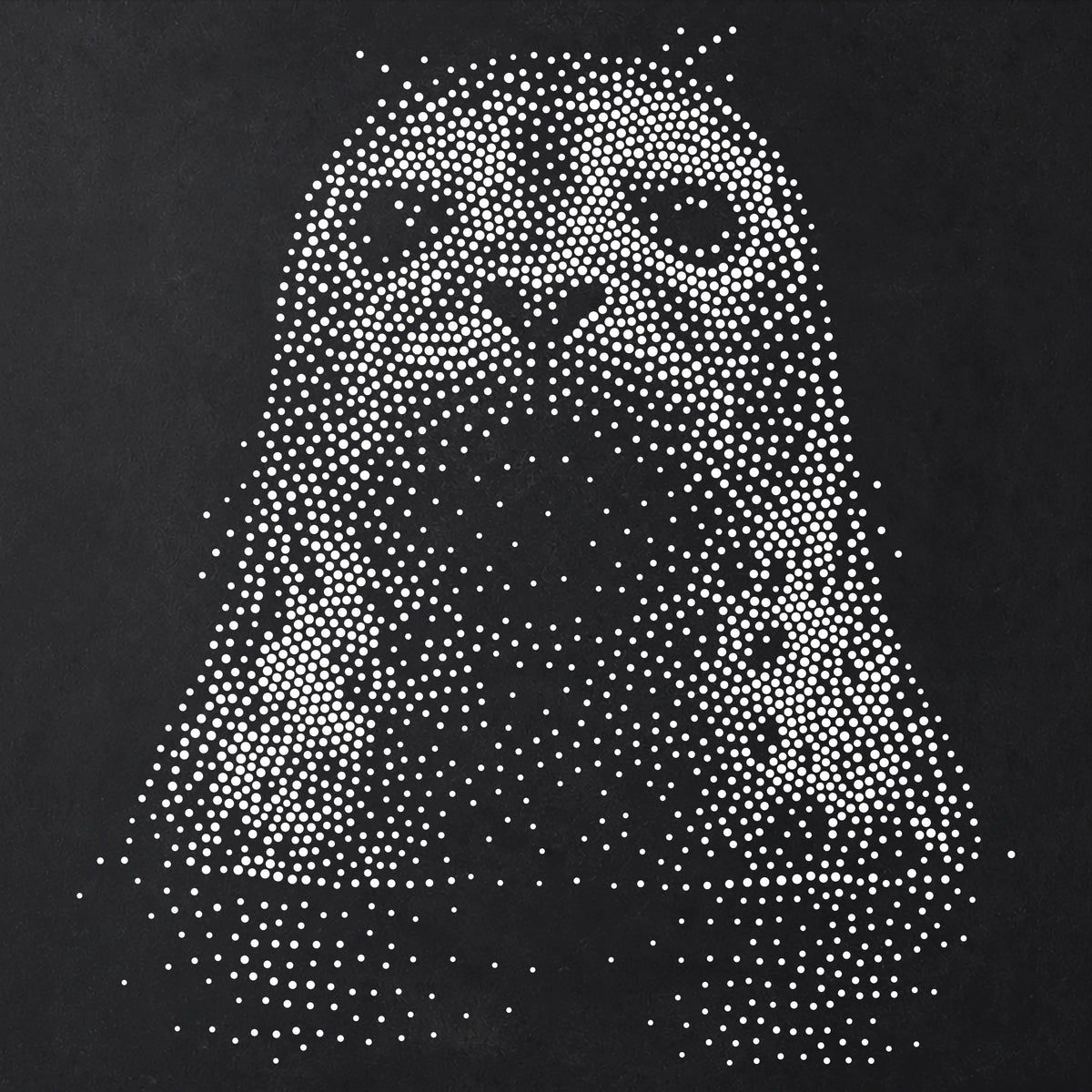 Seal Portrait reusable Mylar stencil