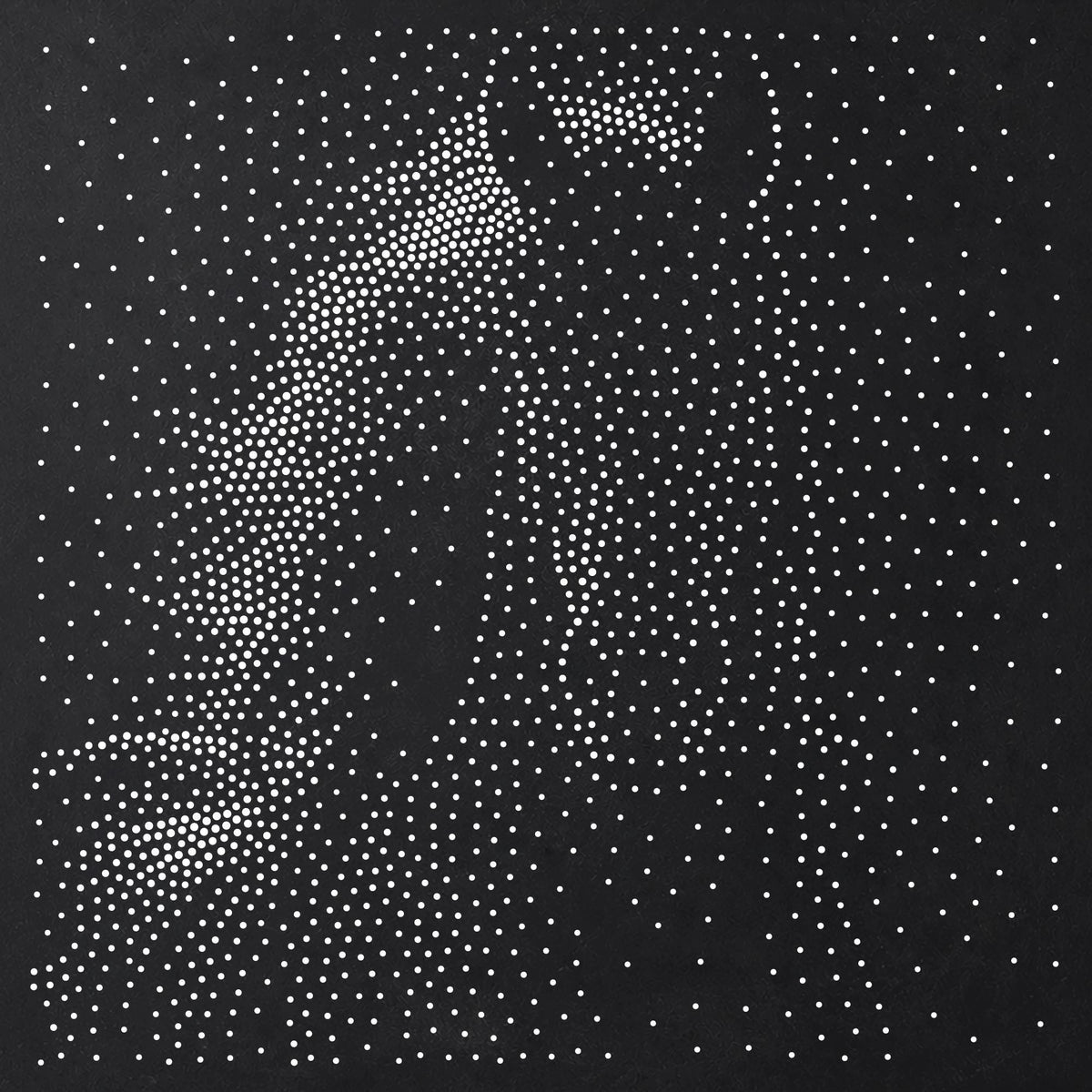 Horse Portrait reusable Mylar stencil