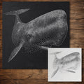 Sperm Whale reusable Mylar stencil