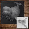 Beluga Whale reusable Mylar stencil