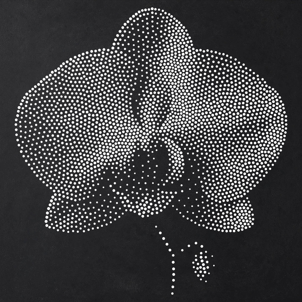 Orchid Flower reusable Mylar stencil