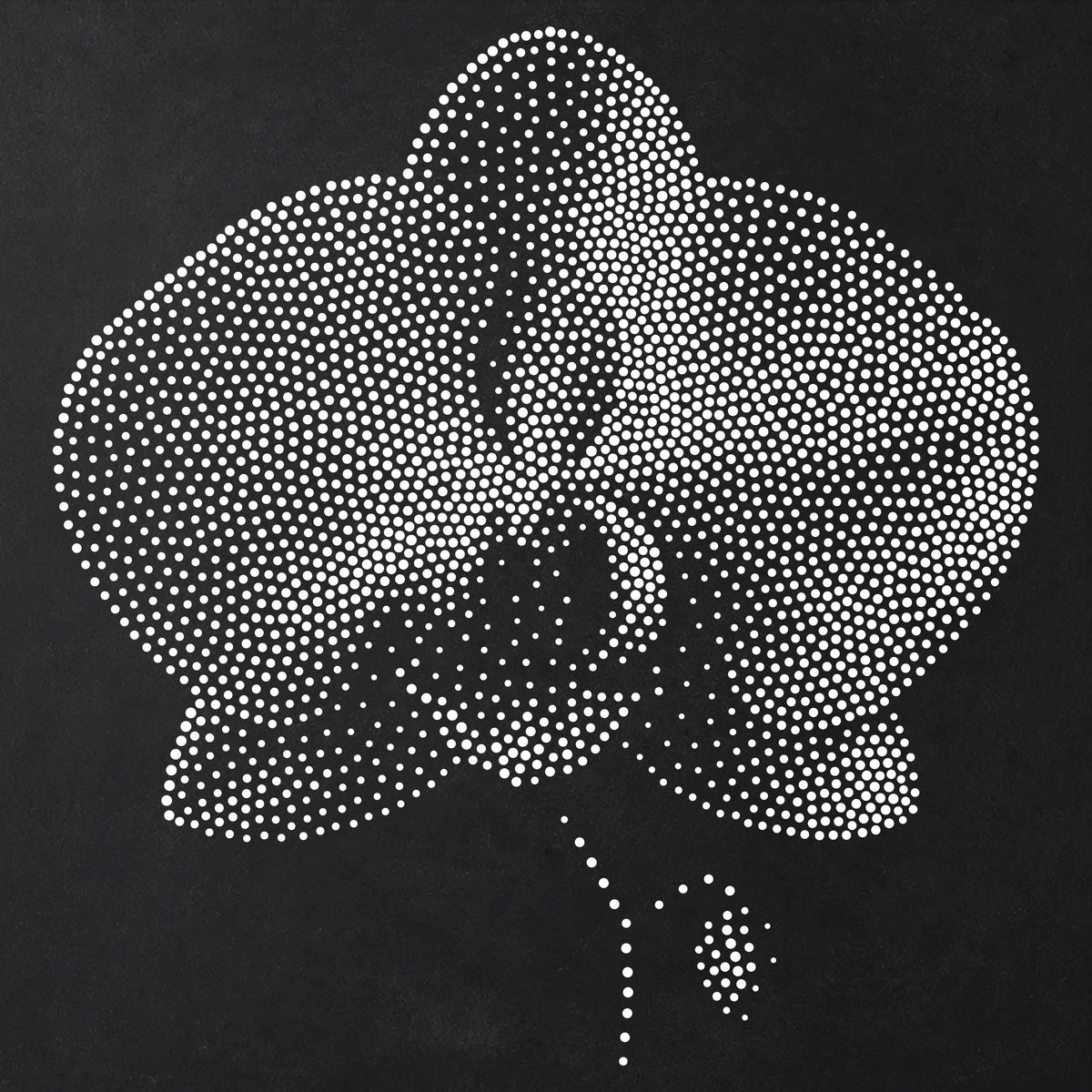 Orchid Flower reusable Mylar stencil