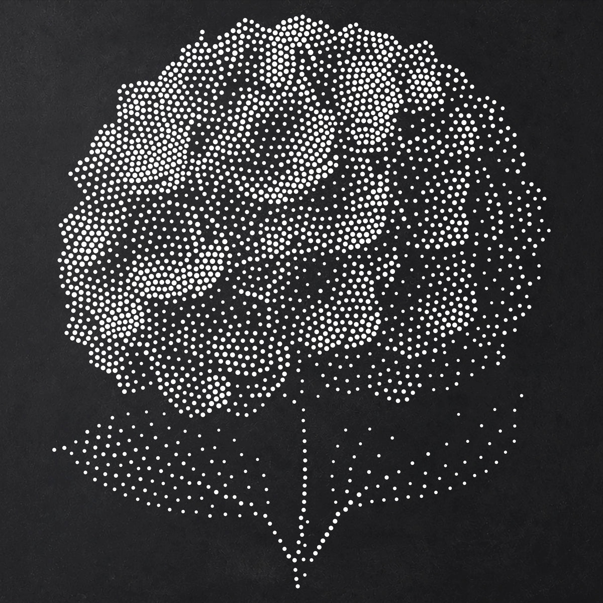 Hydrangea Flower reusable Mylar stencil