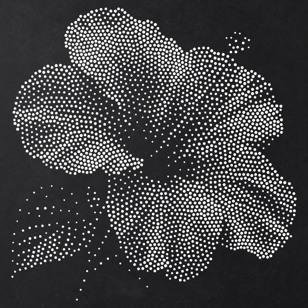 Hibiscus Flower reusable Mylar stencil