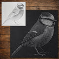 Blue Tit Bird reusable Mylar stencil