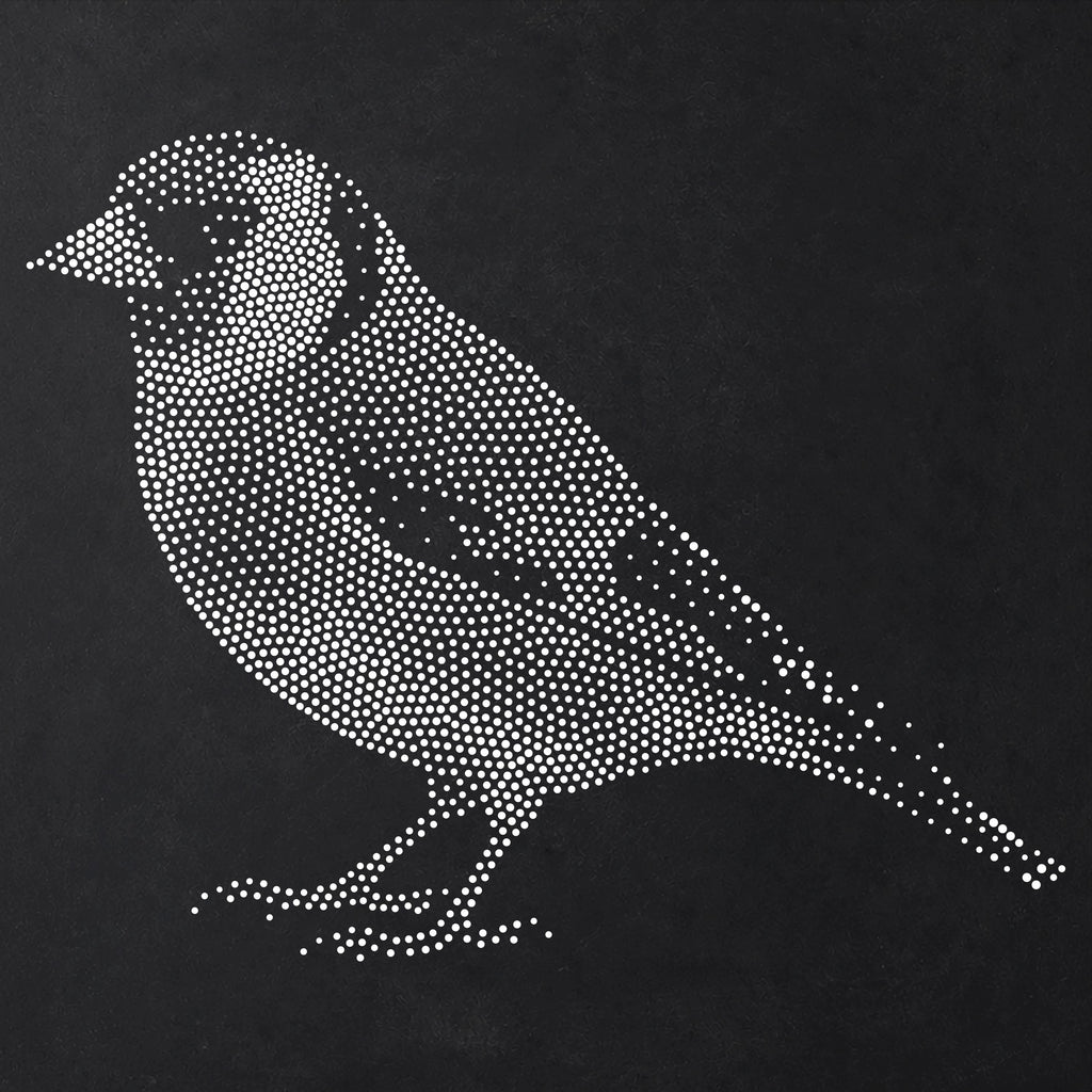 Goldfinch Bird reusable Mylar stencil