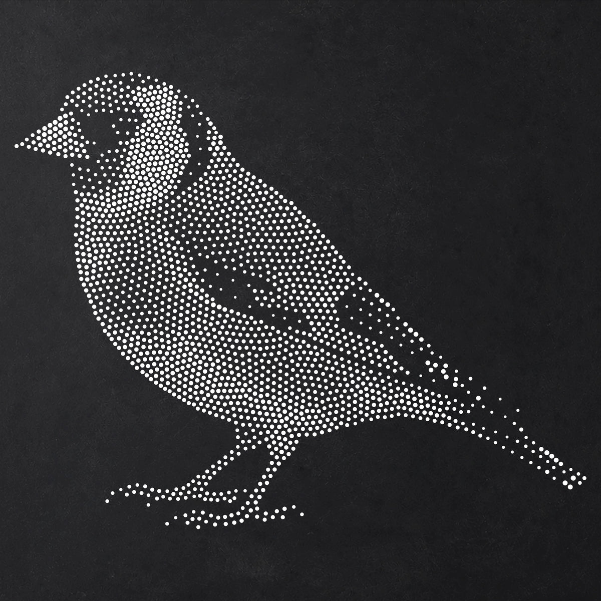 Goldfinch Bird reusable Mylar stencil