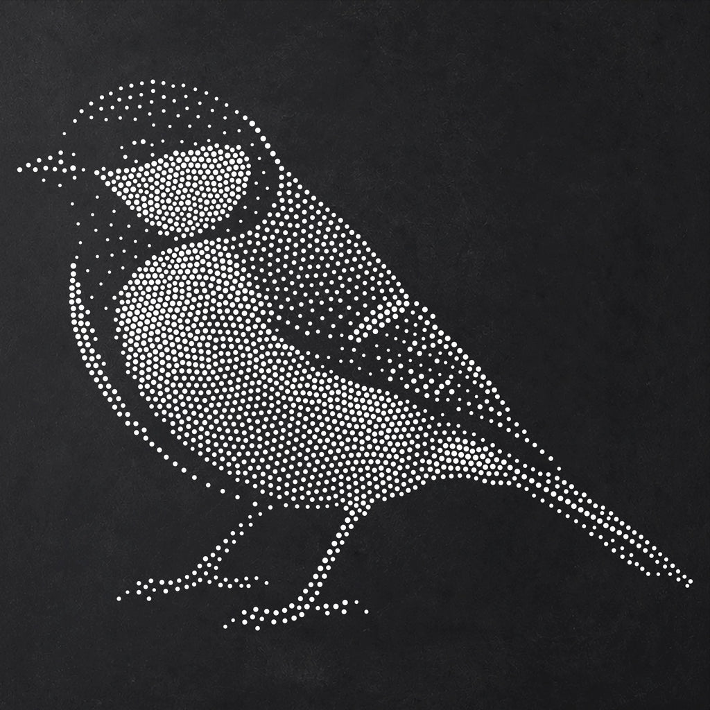 Great Tit Bird reusable Mylar stencil