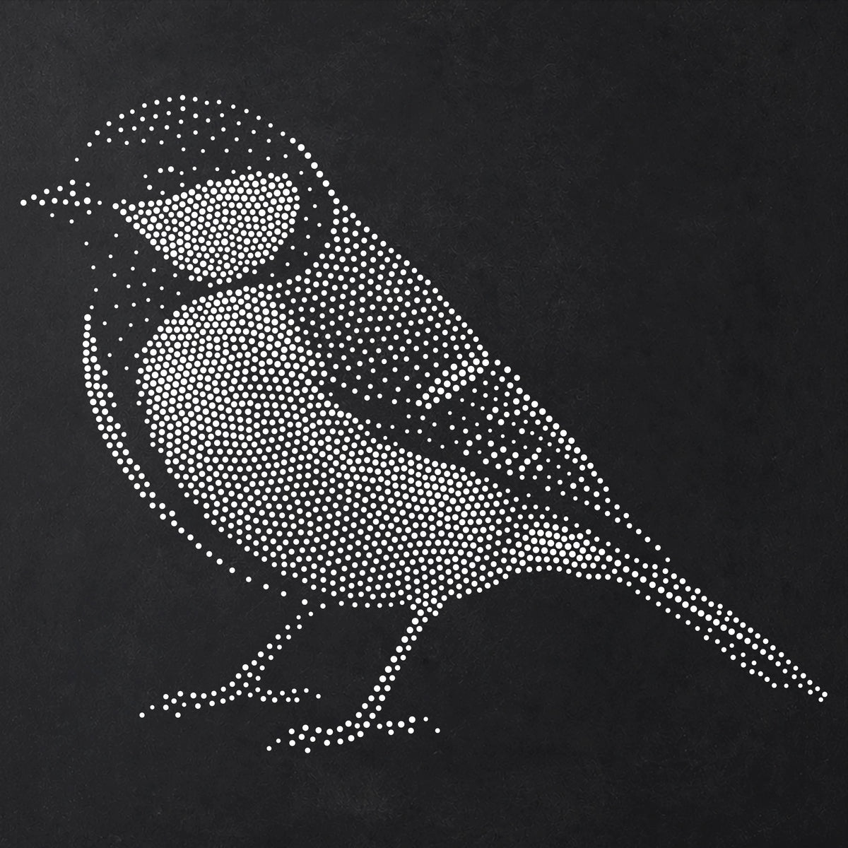 Great Tit Bird reusable Mylar stencil