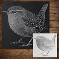 Wren Bird reusable Mylar stencil