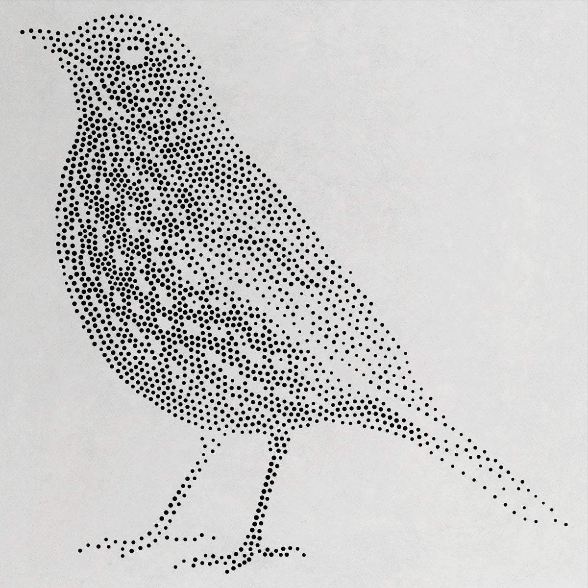 Song Thrush Bird reusable Mylar stencil