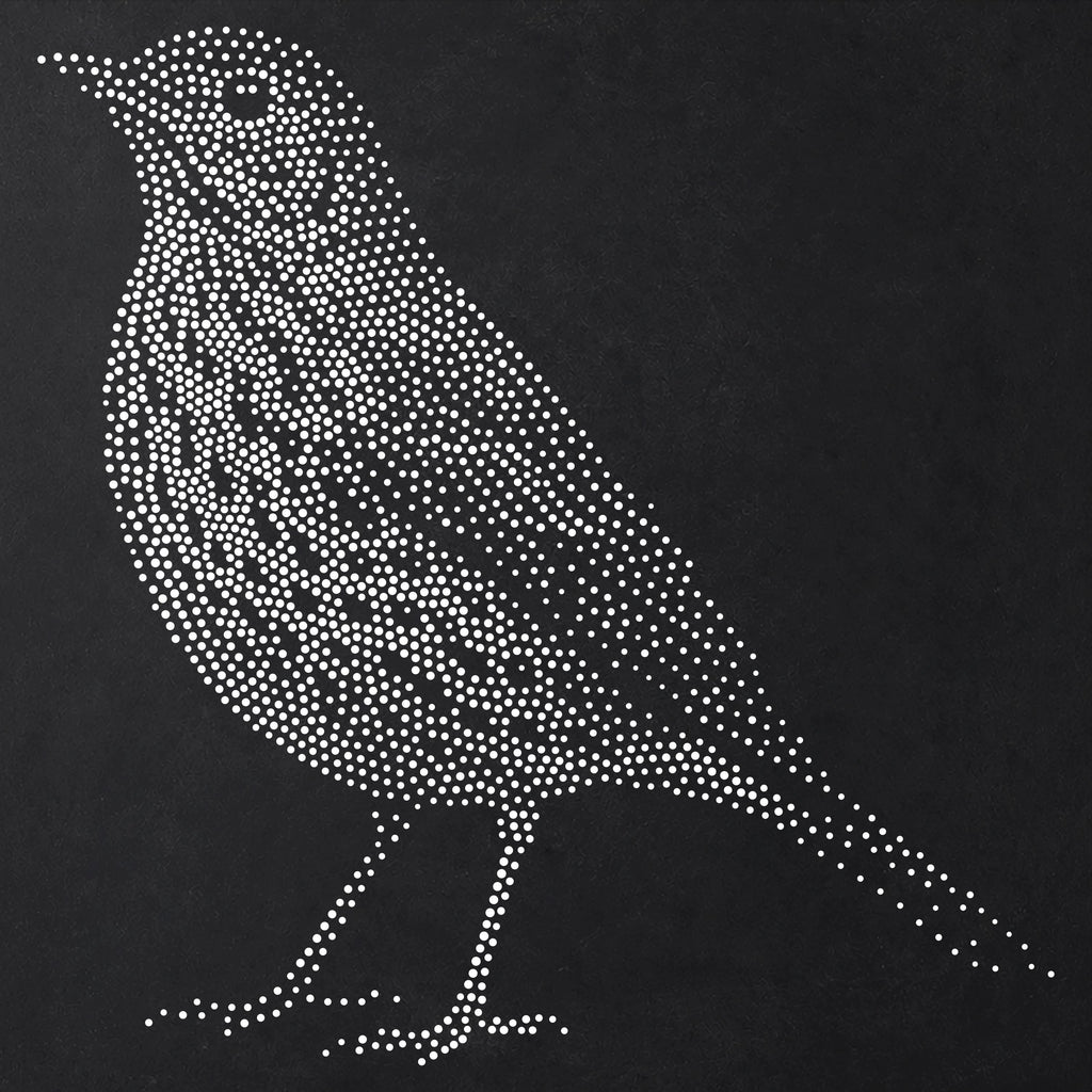 Song Thrush Bird reusable Mylar stencil