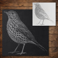 Song Thrush Bird reusable Mylar stencil
