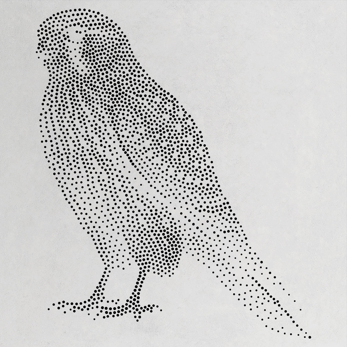 Kestrel Bird of Prey reusable Mylar stencil
