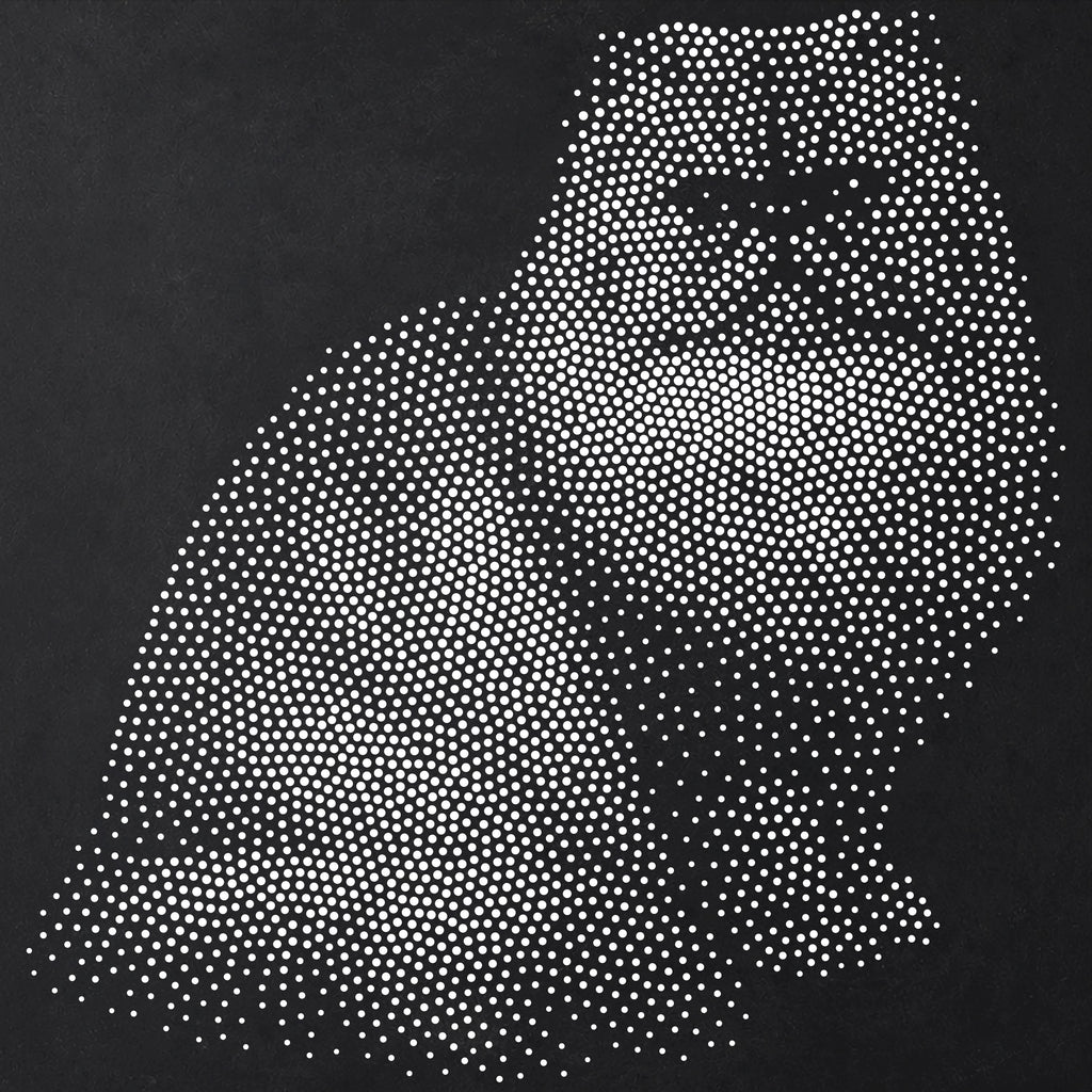 Persian Cat reusable Mylar stencil