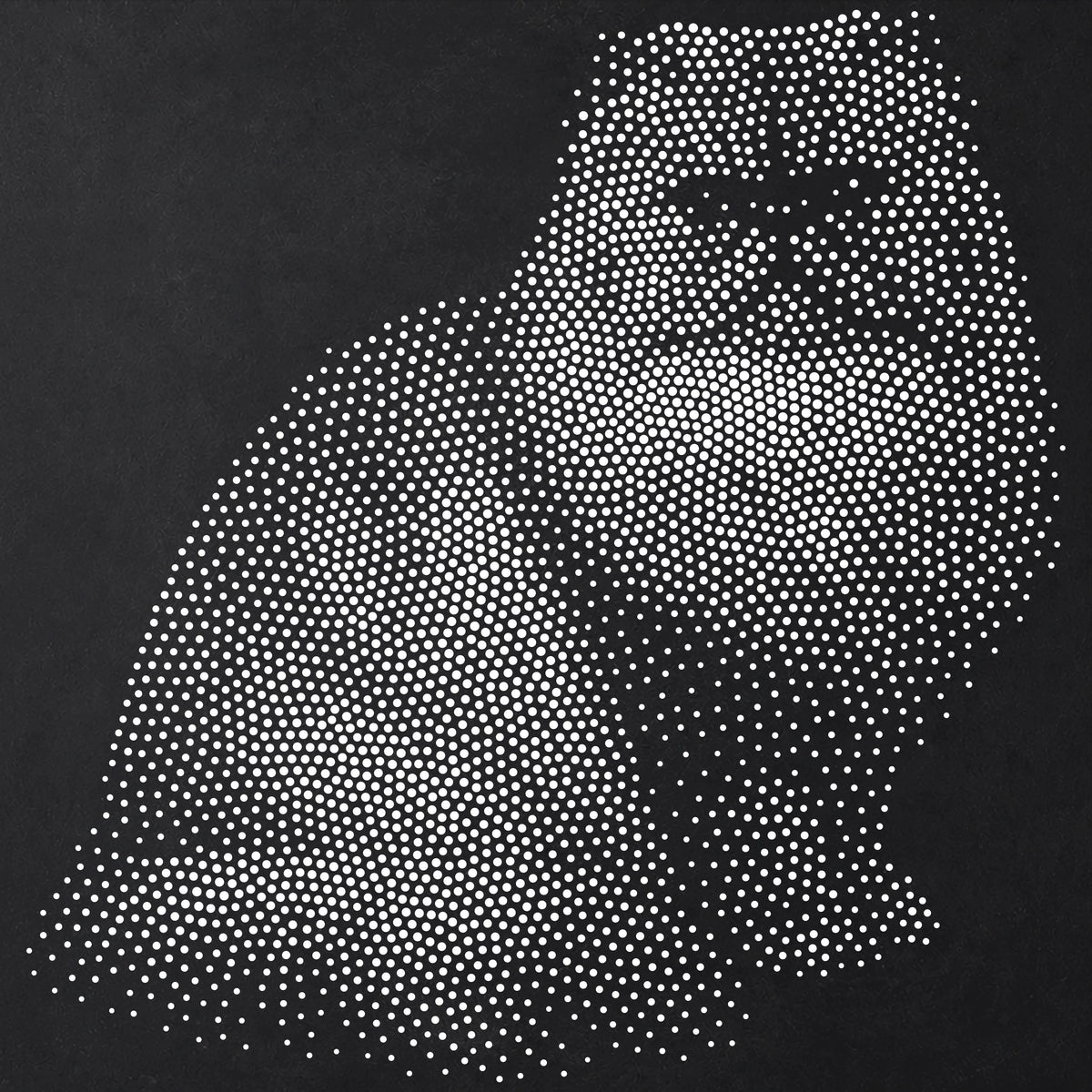Persian Cat reusable Mylar stencil