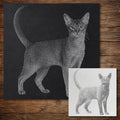 Abyssinian Cat reusable Mylar stencil
