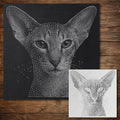 Oriental Shorthair Cat reusable Mylar stencil