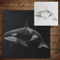 Orca Killer Whale reusable Mylar stencil
