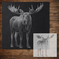 Moose reusable Mylar stencil