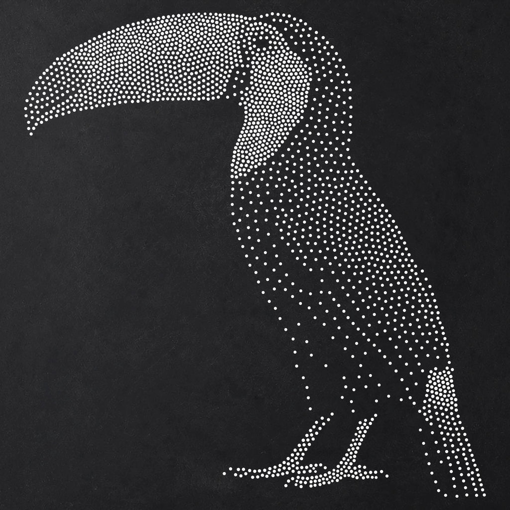 Toucan reusable Mylar stencil