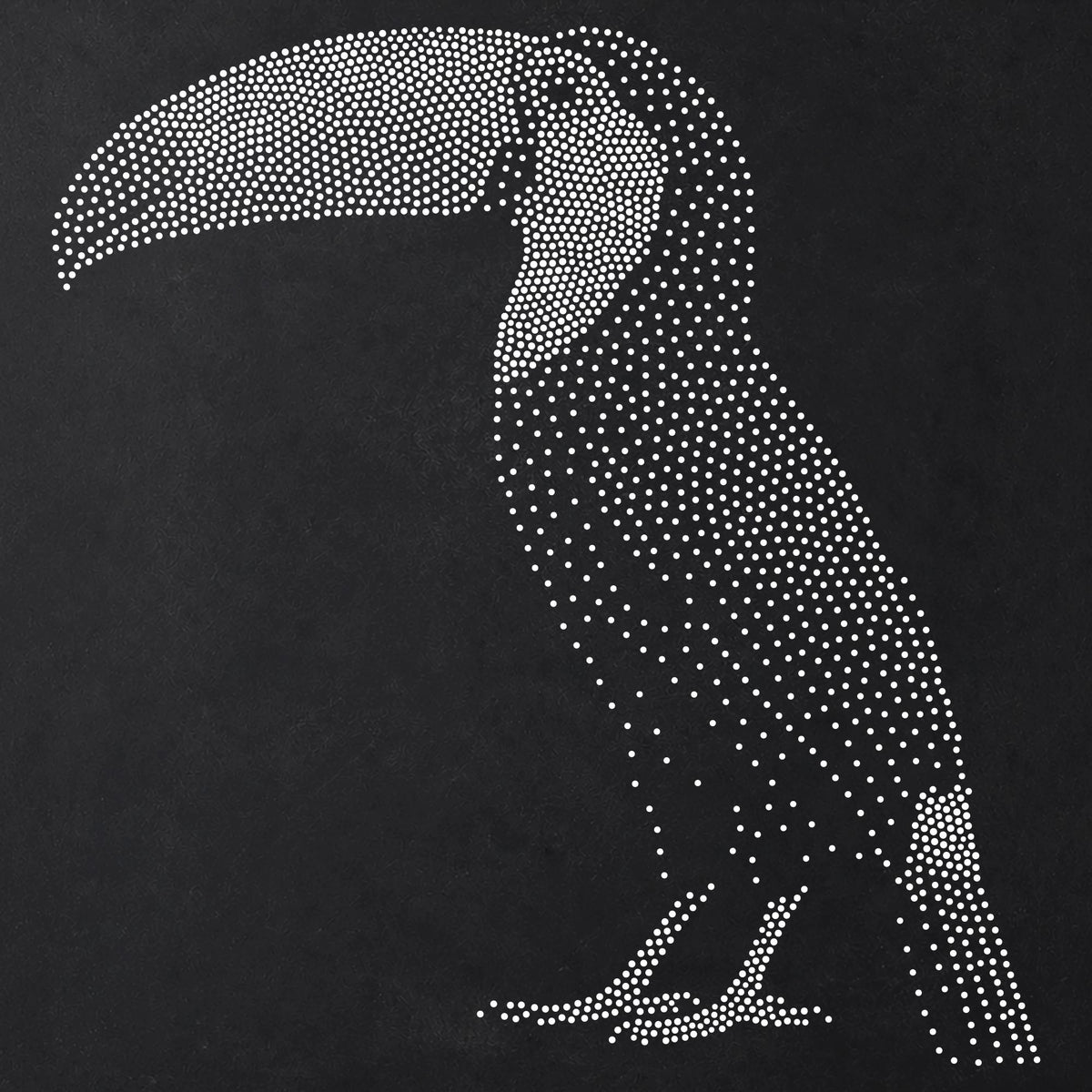 Toucan reusable Mylar stencil