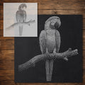 Macaw Parrot reusable Mylar stencil