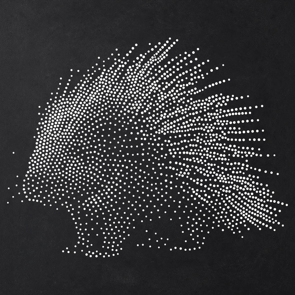 Porcupine reusable Mylar stencil