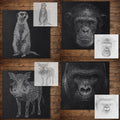 Safari reusable Mylar stencil