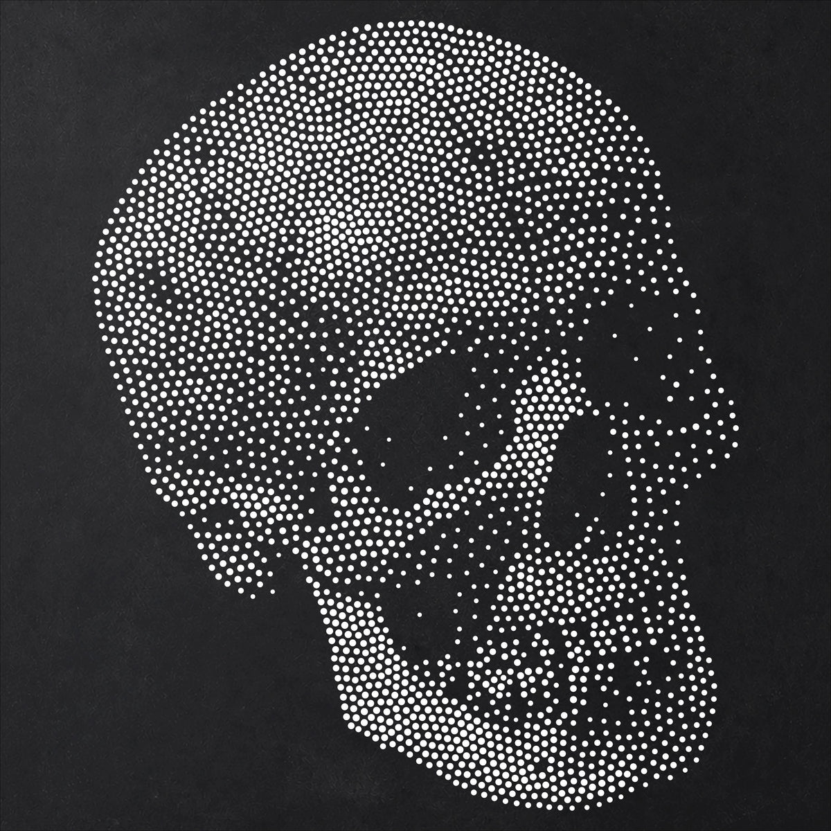 Human Skull #1 reusable Mylar stencil