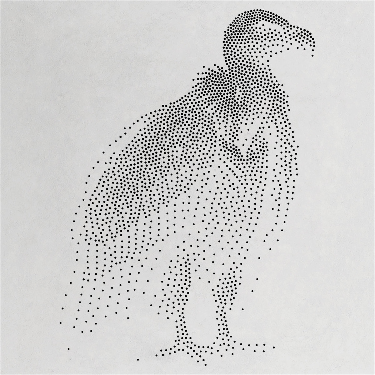 Vulture Bird reusable Mylar stencil